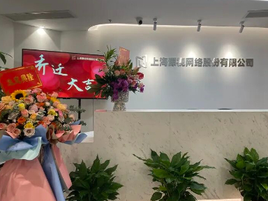 漂视网络